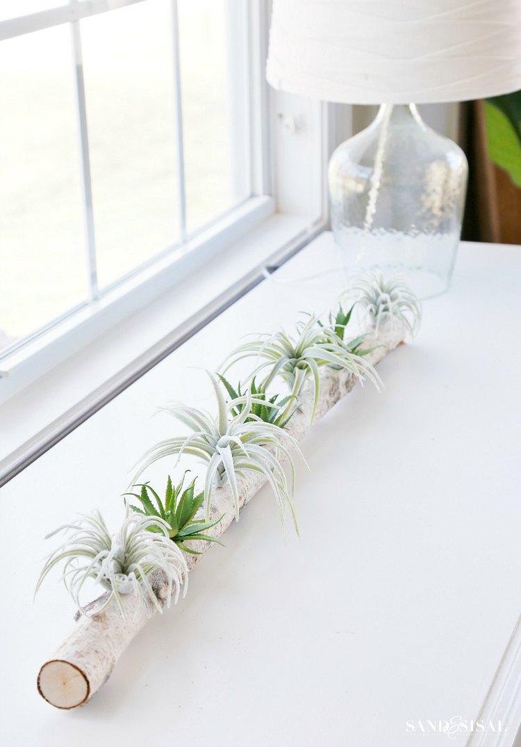 birch-log-centerpiece-with-air-plants