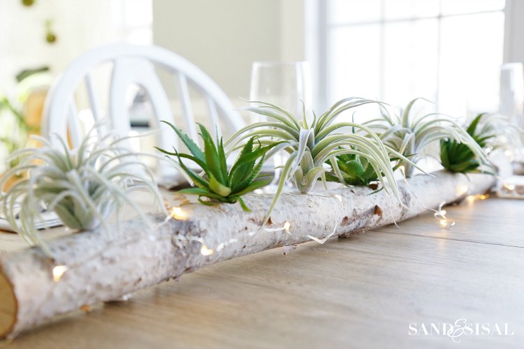 birch-log-centerpiece-with-air-plants-and-succulents