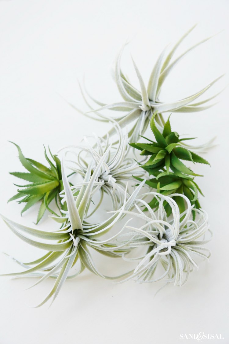 faux-succulents-and-air-plants