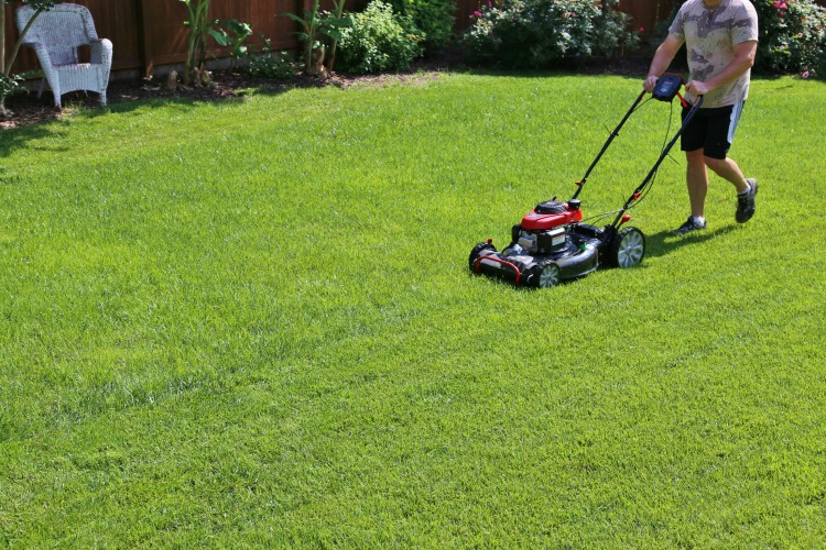 Preparing the Lawn for Fall Outdoor Entertaining