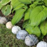 Shell Garden Edging - Creative Garden Edging Ideas