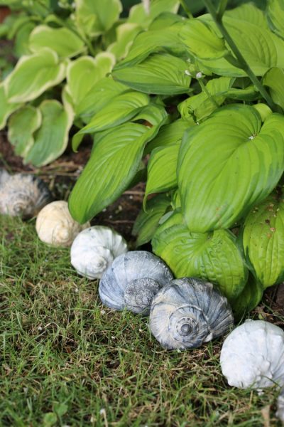 Shell Garden Edging - Creative Garden Edging Ideas