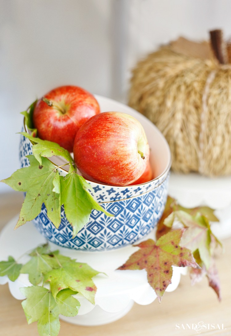 Red Apples in Blue Bowl