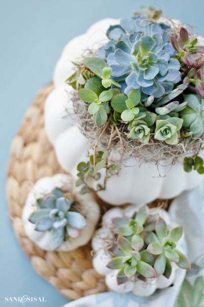 DIY Succulent Pumpkin Centerpiece