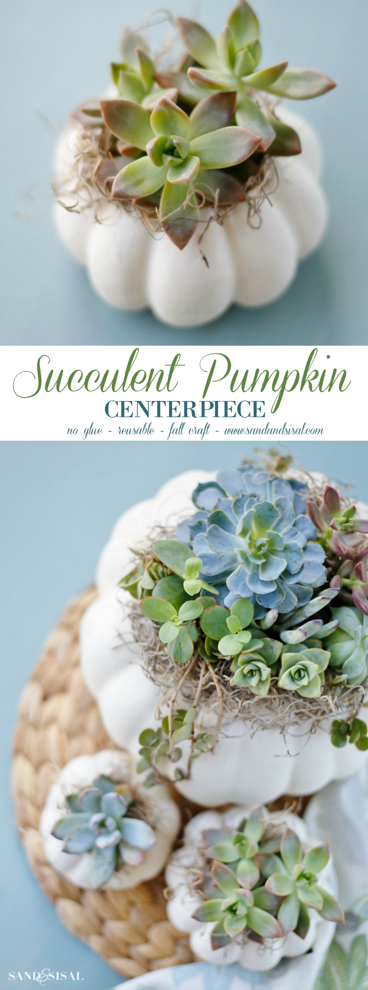 Succulent Pumpkin Centerpiece DIY