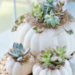 Succulent Pumpkin Planters