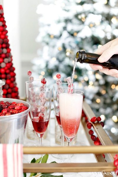 Cranberry Sprintzers - Cranberry Cocktail Party Ideas