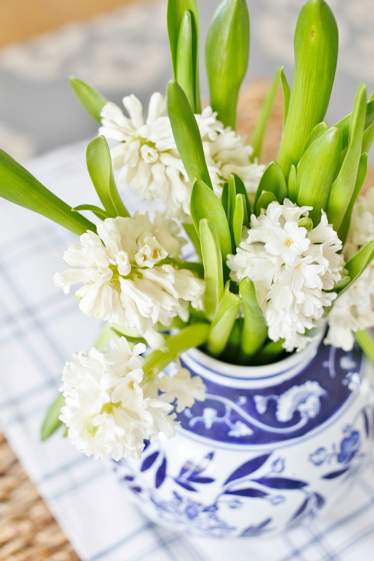 white hyacinth in ginger jar