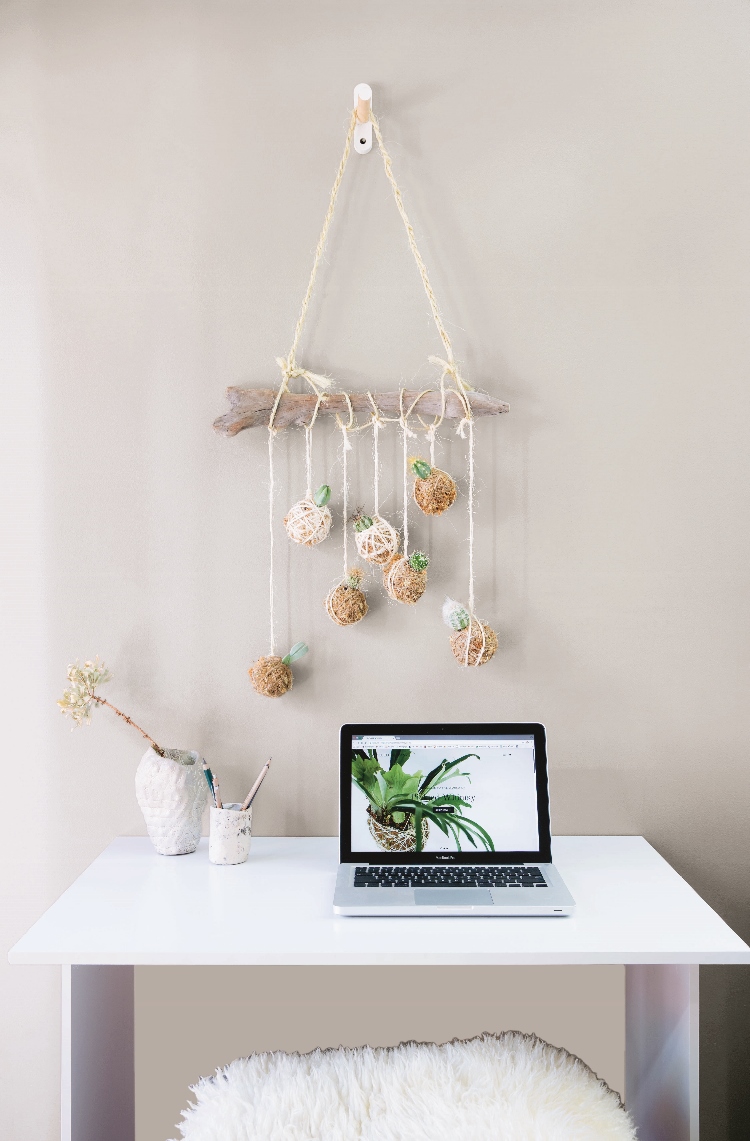 Hanging Kokedama