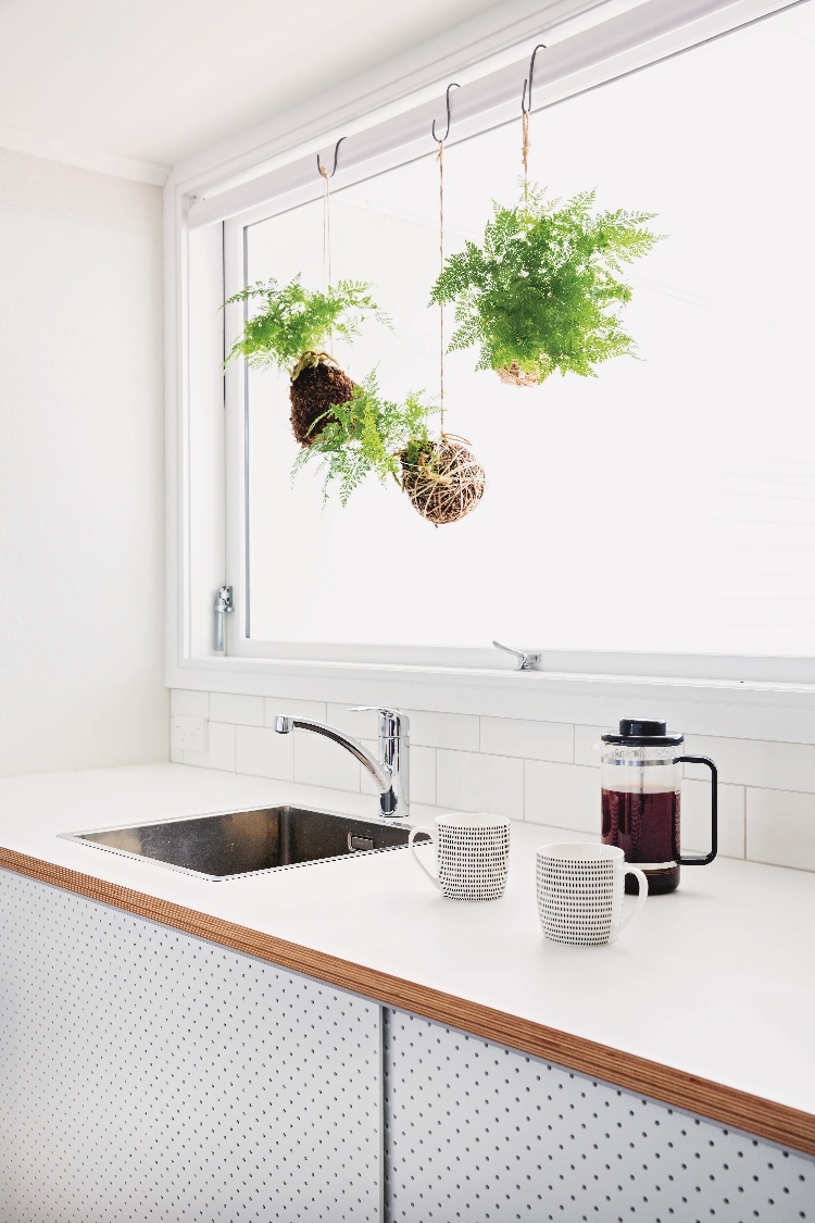 Kokedama in the kitchen