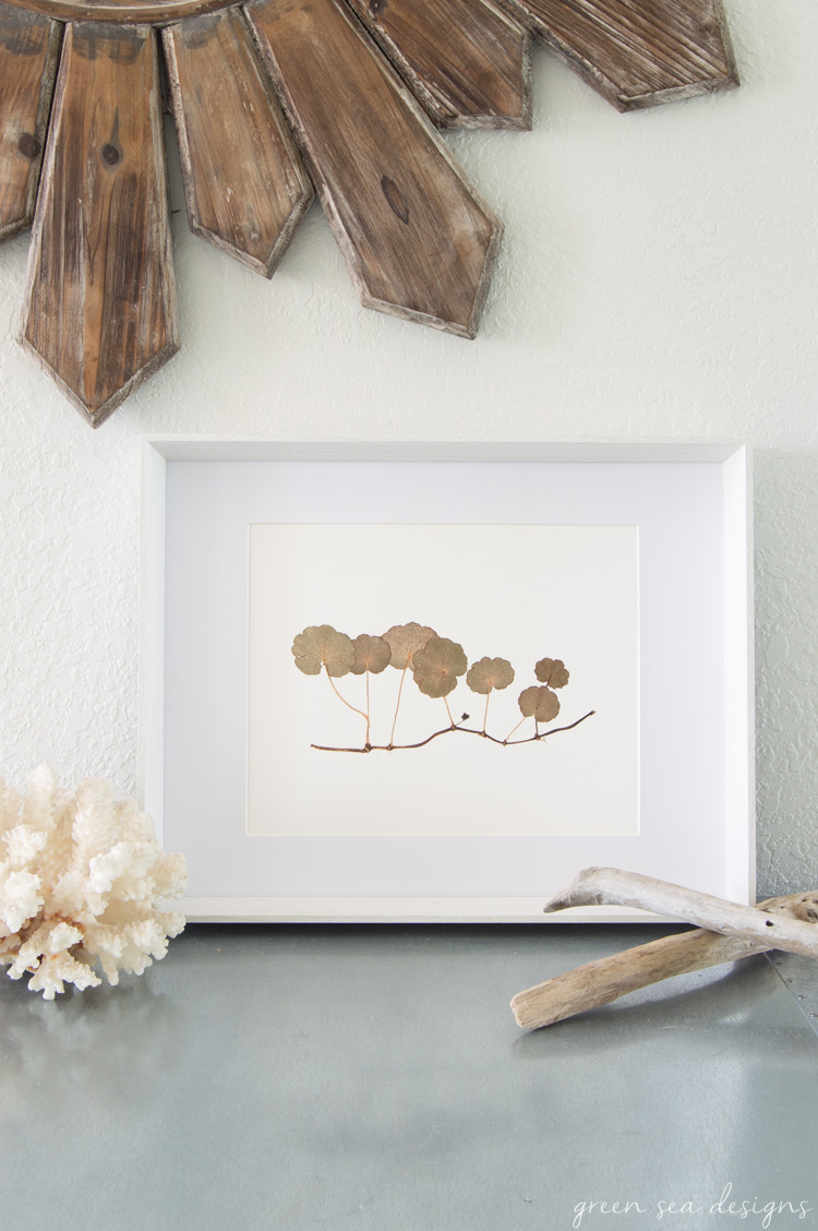 Coastal Botanical Art by Green Seas Designs