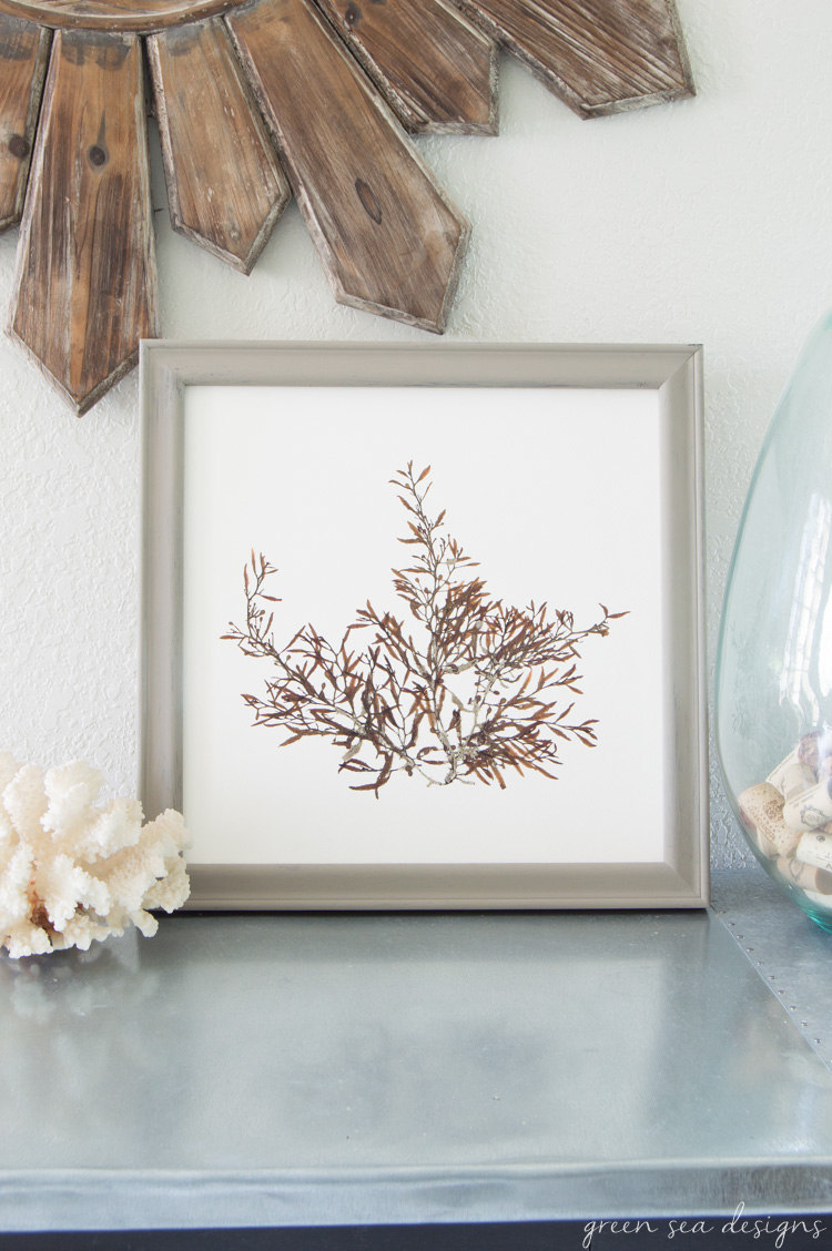 Coastal Botanical Art by Green Seas Designs