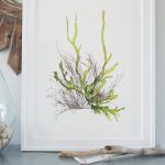 Coastal Botanical Art by Green Seas Designs