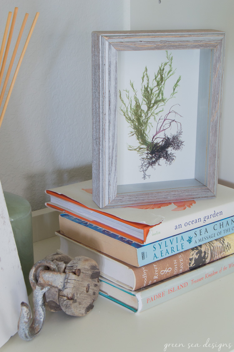 Coastal Botanical Art by Green Seas Designs