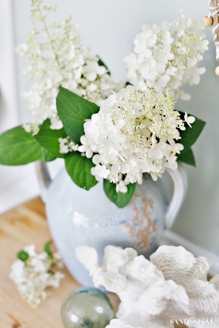 White Panicle Hydrangeas