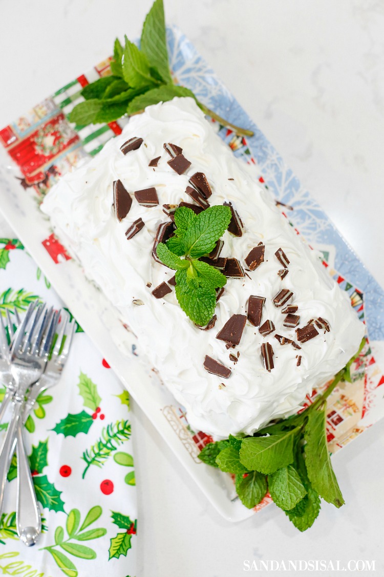 Mint Chocolate Chip Ice Cream Holiday Cake