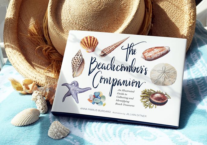 The Beachcomber's Companion