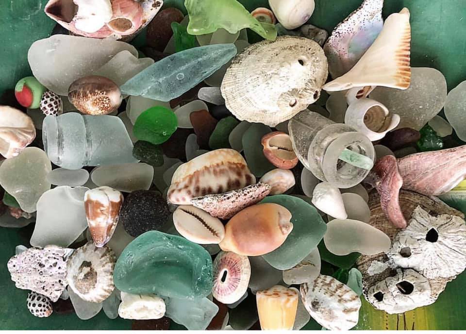 Beach Art - Heidi Peters - Sea glass and shells