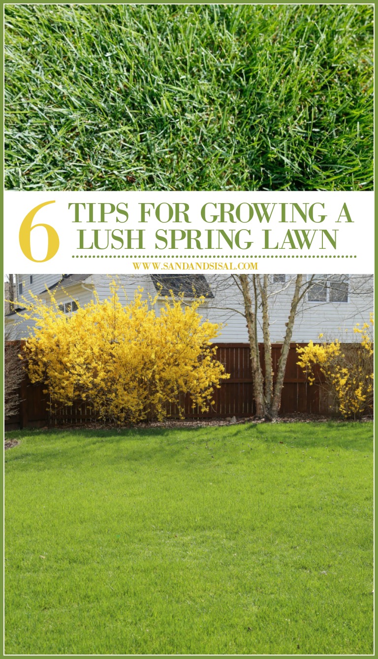 6 Tips for Growing a Lush Spring Lawn