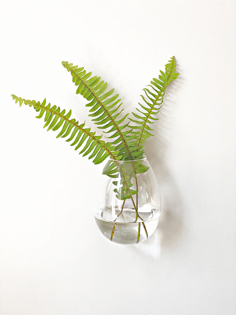 Glass wall vase 
