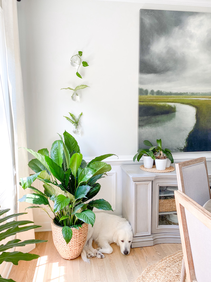 Summer Coastal Dining Room