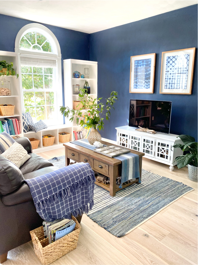 Navy Blue Media Room