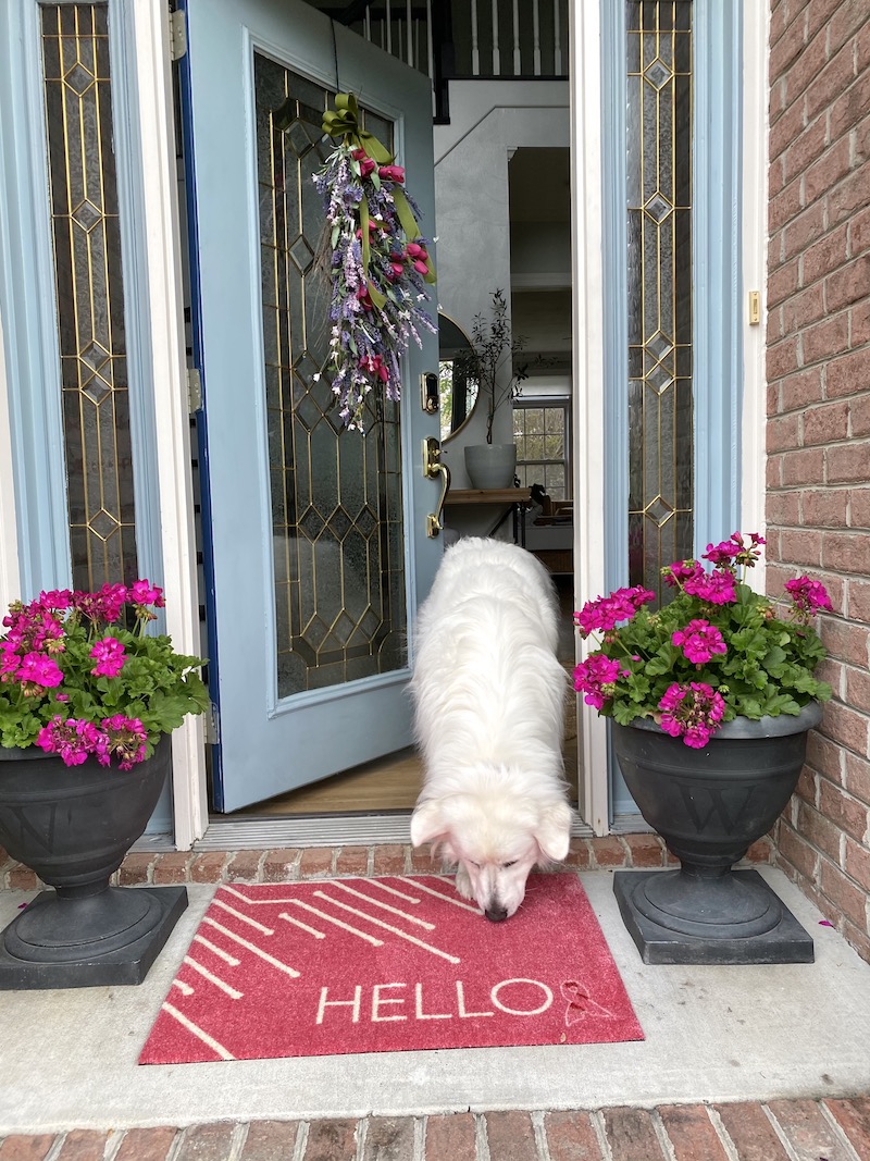 Breast Cancer Pink Ribbon Door Mats