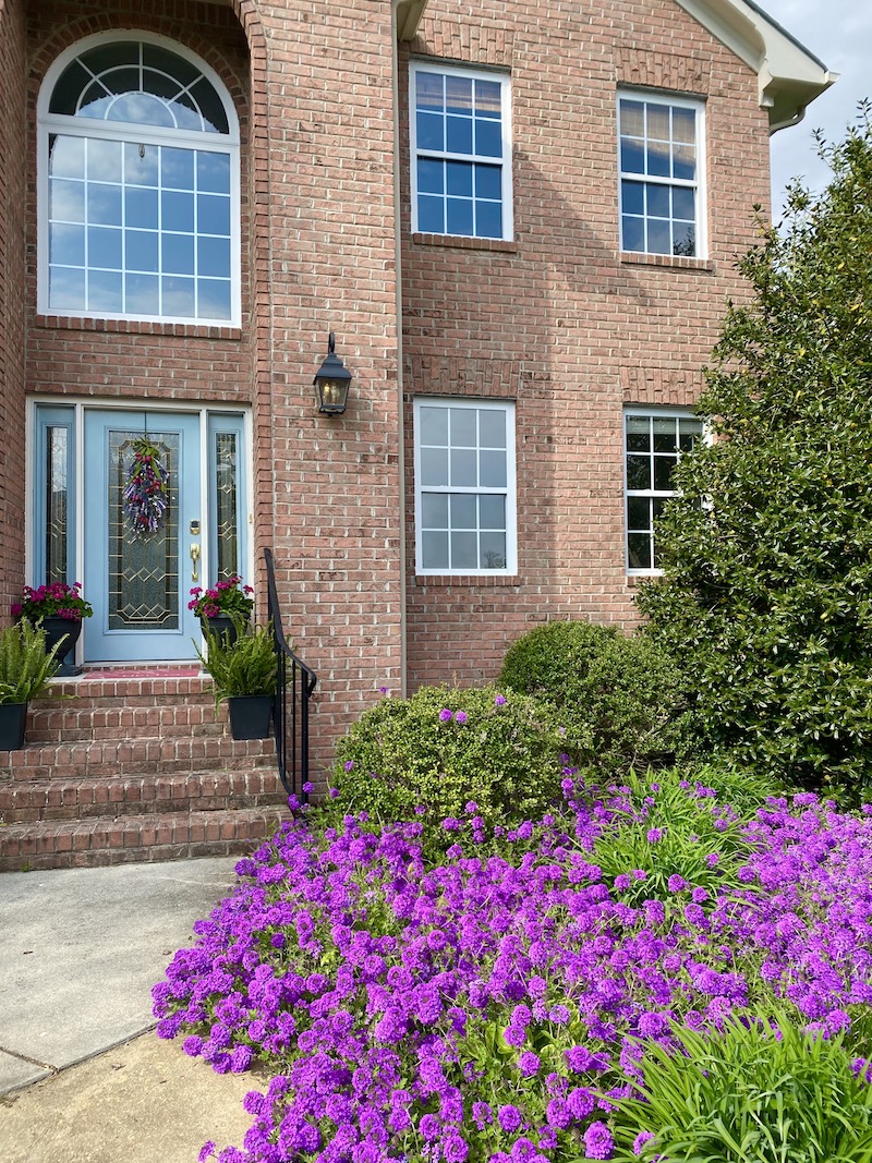 Brick House with Purple Homestead Verbena